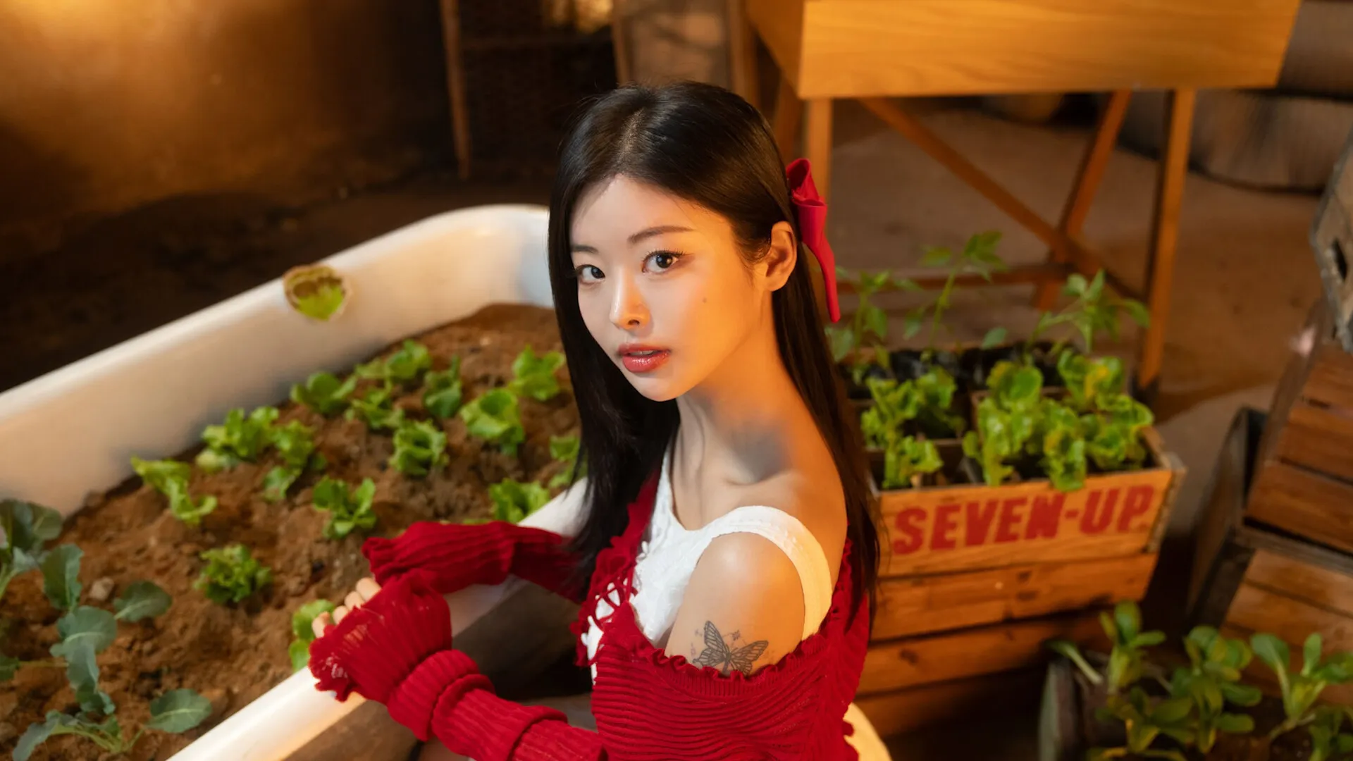 《末日降临！被美女们关进避难所!?》中文版游戏介绍